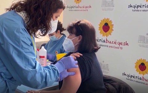 Ulet fasha e vaksinimit: Priten mbi 100 mije doza te Sinovac dhe Pfizer